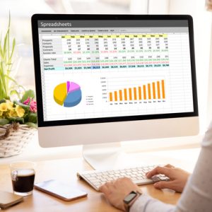 Woman working with spreadsheets on desktop computer